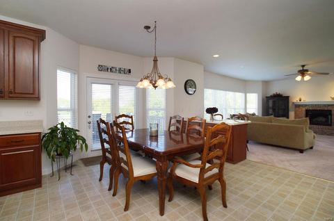 376 Carr Manor Ct, Ballwin, MO 63021 photo 16
