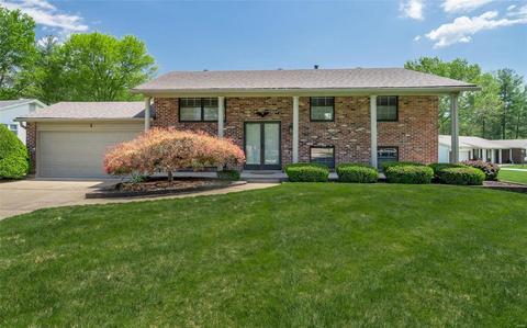 1 Marie Ct, Manchester, MO 63011 photo 22