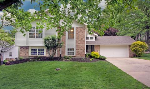 16807 Babler Vw, Wildwood, MO 63011 photo 1