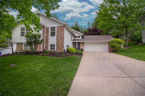 16807 Babler Vw, Wildwood, MO 63011 photo 21
