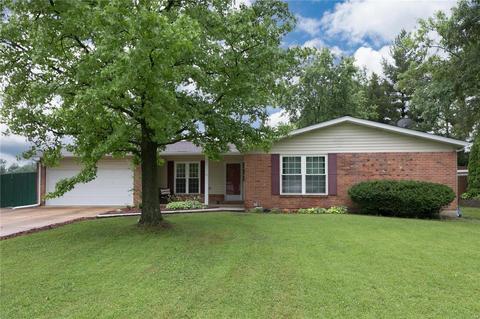 17 Amitie Ln, Manchester, MO 63011 photo 1