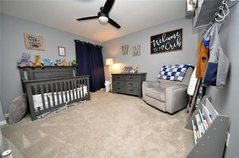 509 Wabash Pl, O'fallon, MO 63366 photo 23