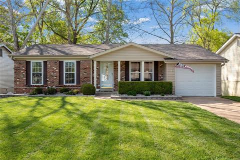 3 Chappel Ct, Manchester, MO 63021 photo 1