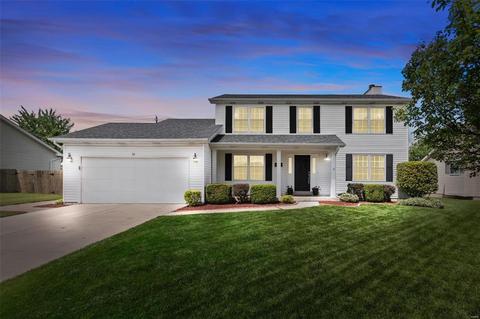 33 Wistar Way, O'fallon, MO 63366 photo 35