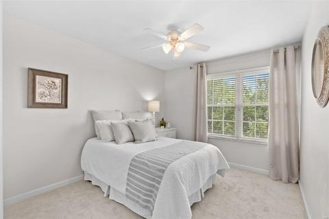 33 Wistar Way, O'fallon, MO 63366 photo 27