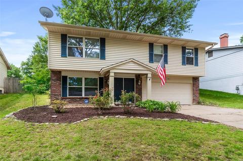 508 Arborwood Dr, Ballwin, MO 63021 photo 2