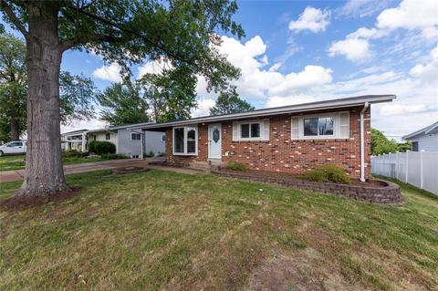 11028 Patsy Dr, Saint Louis, MO 63123 photo 15