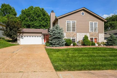 1016 Hollyleaf Ct, Ballwin, MO 63021 photo 2