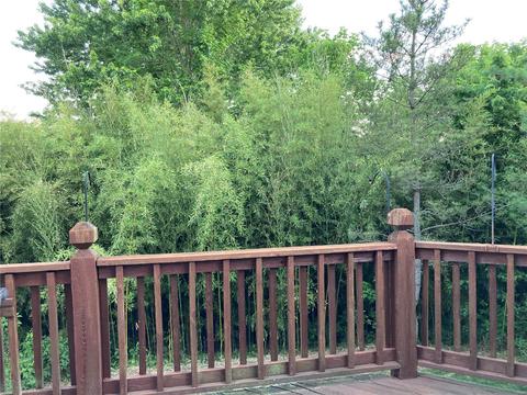 6 Beckewith Ct, O'fallon, MO 63368 photo 9