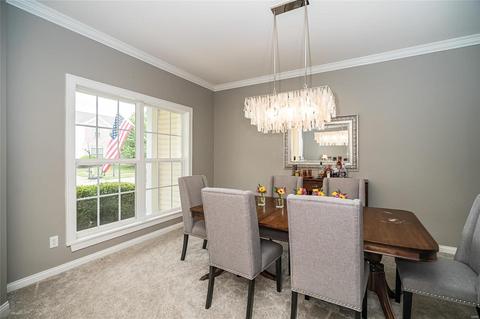 1217 Arbor Bluff Cir, Ballwin, MO 63021 photo 8