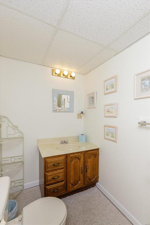 606 Painted Vista Dr, Ballwin, MO 63021 photo 36