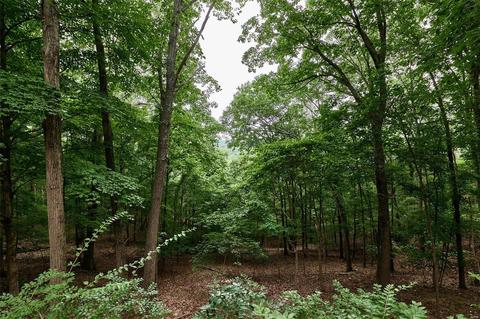 1605 Wolf Trail Rd, Wildwood, MO 63021 photo 38