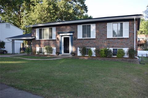 914 Brookvale Ter, Ballwin, MO 63021 photo 1