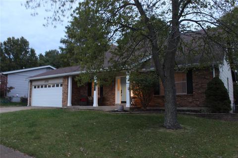 272 Village Meadow Dr, Ballwin, MO 63021 photo 3
