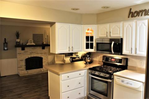 272 Village Meadow Dr, Ballwin, MO 63021 photo 17