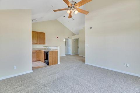 12301 Spring Creek Ln, O'fallon, MO 63368 photo 11