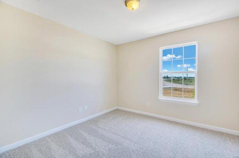 12301 Spring Creek Ln, O'fallon, MO 63368 photo 16