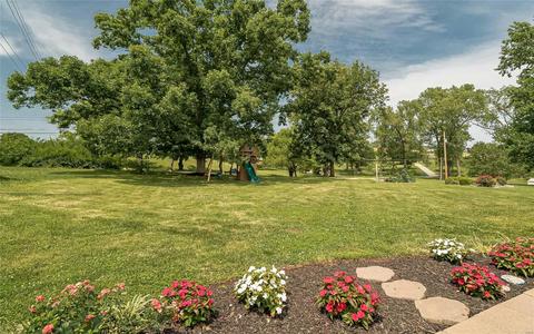 703 Connie Ln, Manchester, MO 63021 photo 49