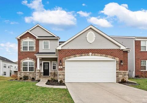 223 Flint Brook Dr, O'fallon, MO 63366 photo 1