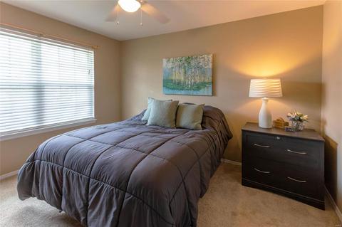 44 Lions Head Ct, O'fallon, MO 63368 photo 18