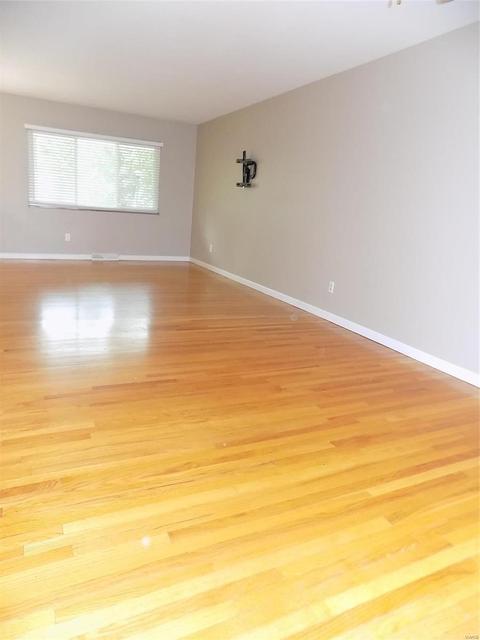 33 Roland Ave, Ballwin, MO 63021 photo 5