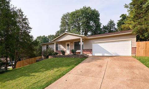 814 Wild Hawk Dr, Eureka, MO 63025 photo 2