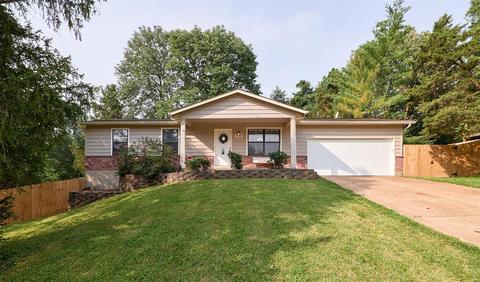 814 Wild Hawk Dr, Eureka, MO 63025 photo 1