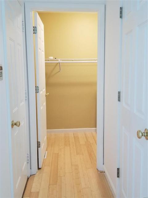 413 Summit Tree Ct, Fenton, MO 63026 photo 13