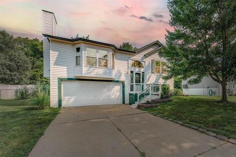 715 Summersong Dr, O'fallon, MO 63366 photo 23