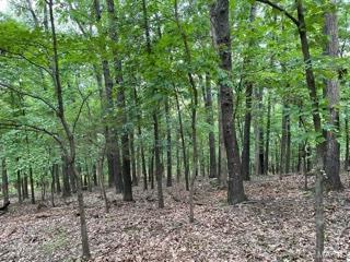 5512 Hunters Ford Rd, Eureka, MO 63069 photo 1