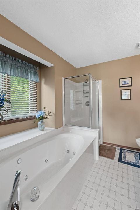 20 Treeline Dr, O'fallon, MO 63366 photo 24