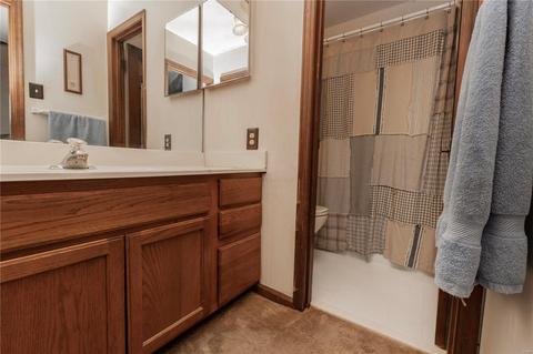 153 Hickory Tree, Ballwin, MO 63011 photo 27