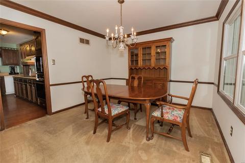 153 Hickory Tree, Ballwin, MO 63011 photo 9