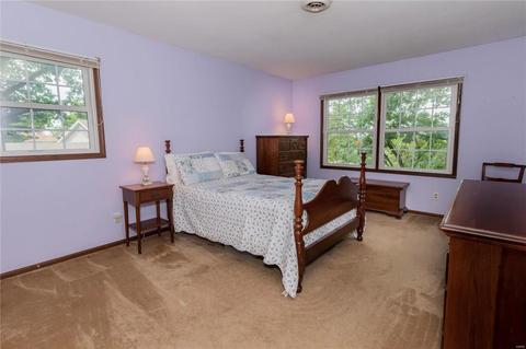 153 Hickory Tree, Ballwin, MO 63011 photo 28