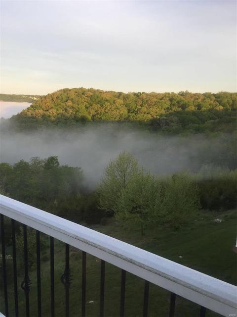 207 Palisades Ridge Ct, Eureka, MO 63025 photo 52