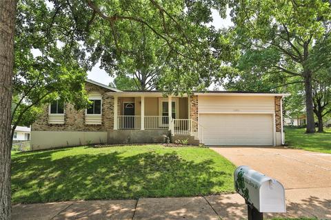 1002 Dorne Dr, Manchester, MO 63021 photo 1