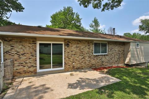 1002 Dorne Dr, Manchester, MO 63021 photo 4