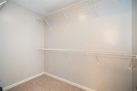 9 Statesman Dr, O'fallon, MO 63368 photo 29
