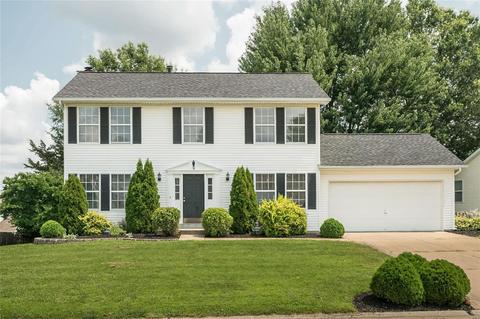 9 Statesman Dr, O'fallon, MO 63368 photo 3