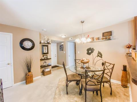 14103 Spring Creek Ln, O'fallon, MO 63368 photo 10
