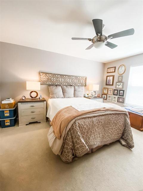14103 Spring Creek Ln, O'fallon, MO 63368 photo 13