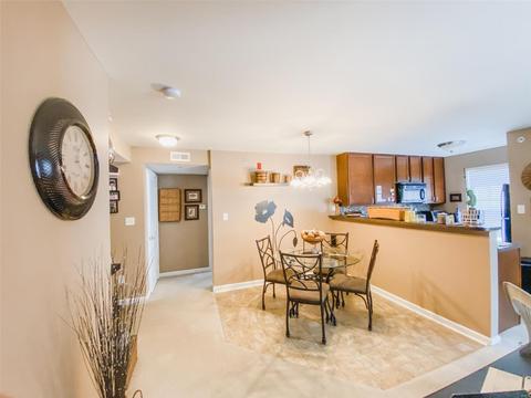 14103 Spring Creek Ln, O'fallon, MO 63368 photo 6