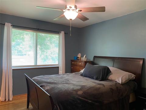 11796 Benedetta Dr, Bridgeton, MO 63044 photo 15