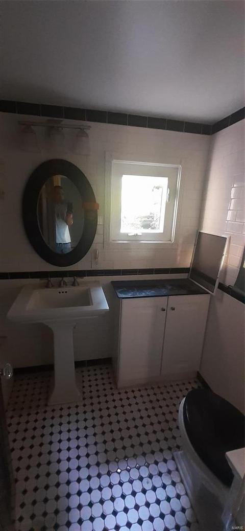 409 Carson, Saint Louis, MO 63135 photo 10