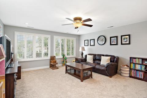 282 Ries Rd, Ballwin, MO 63021 photo 29
