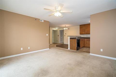13203 Spring Creek Ln, O'fallon, MO 63368 photo 10