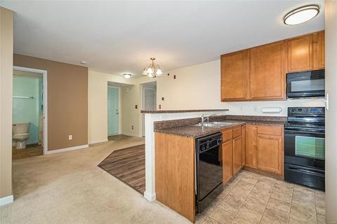 13203 Spring Creek Ln, O'fallon, MO 63368 photo 12