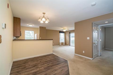 13203 Spring Creek Ln, O'fallon, MO 63368 photo 4