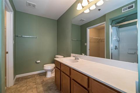 13203 Spring Creek Ln, O'fallon, MO 63368 photo 23