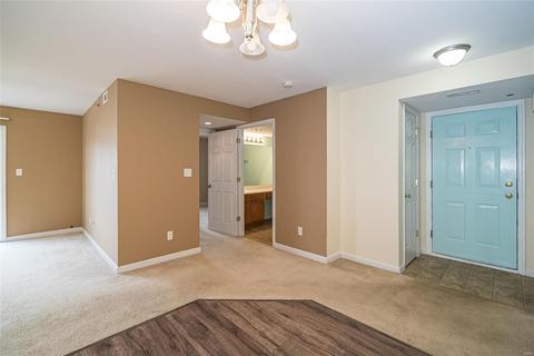 13203 Spring Creek Ln, O'fallon, MO 63368 photo 7
